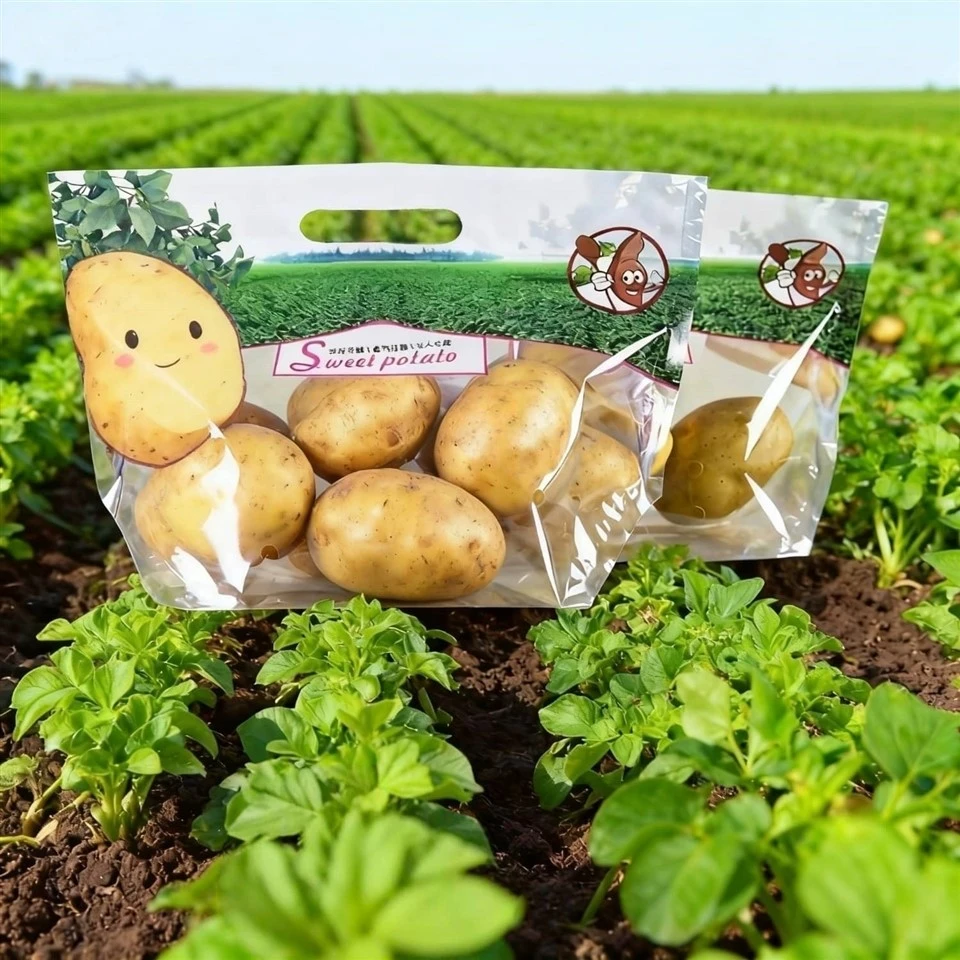 Potato Packaging Bags factory